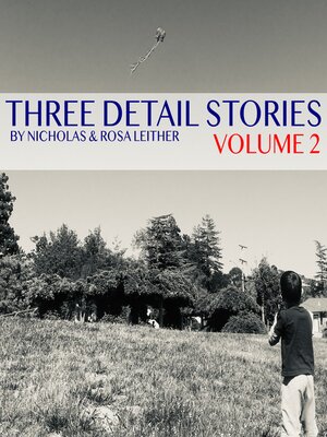 cover image of Three Detail Stories